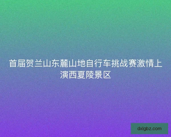 首届贺兰山东麓山地自行车挑战赛激情上演西夏陵景区